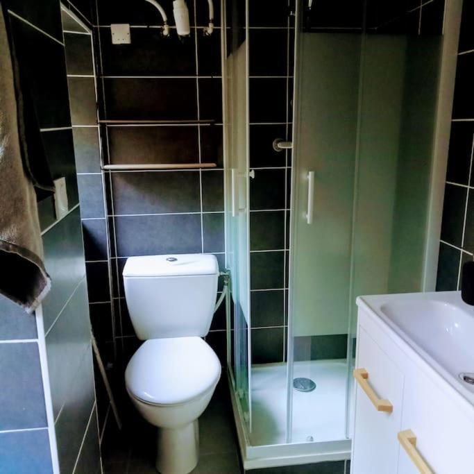 Le Cosy Chaleureux Appartement Saint-Etienne  Zewnętrze zdjęcie